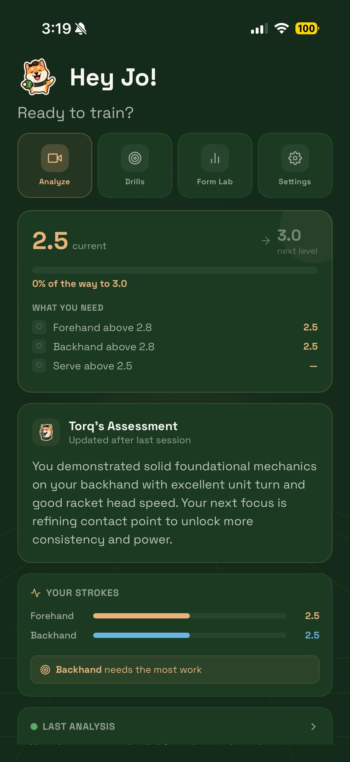 Home screen with NTRP progress